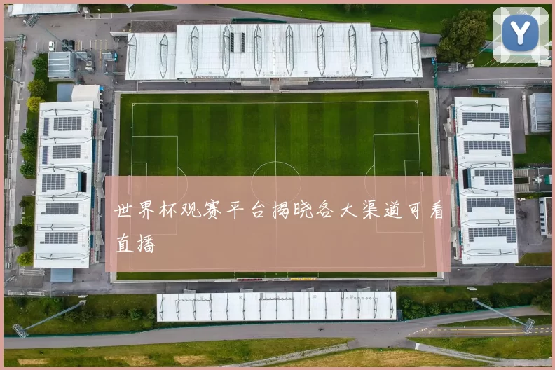 世界杯观赛平台揭晓各大渠道可看直播