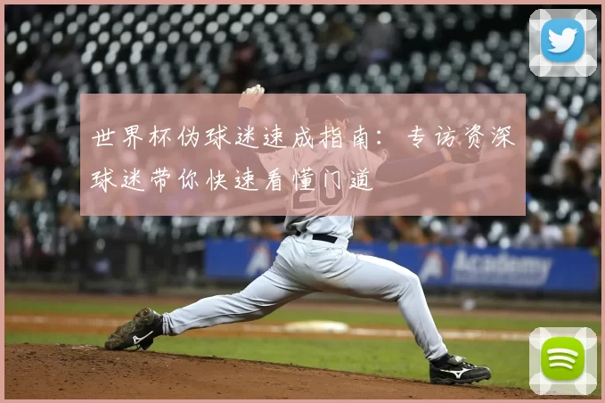 世界杯伪球迷速成指南：专访资深球迷带你快速看懂门道