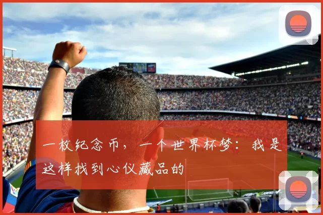 一枚纪念币，一个世界杯梦：我是这样找到心仪藏品的