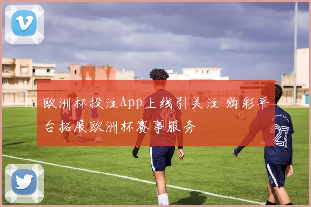 欧洲杯投注App上线引关注 购彩平台拓展欧洲杯赛事服务