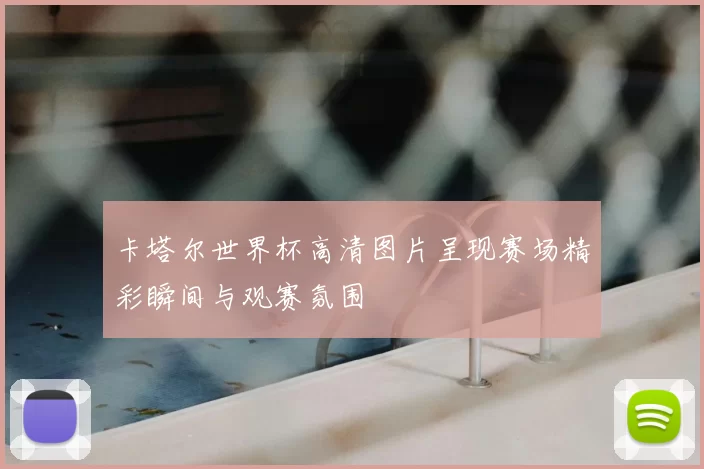 卡塔尔世界杯高清图片呈现赛场精彩瞬间与观赛氛围