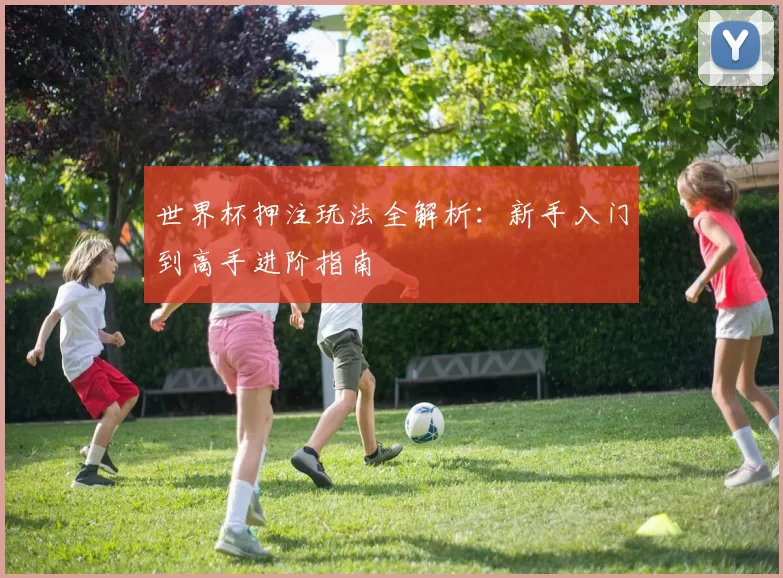 世界杯押注玩法全解析：新手入门到高手进阶指南