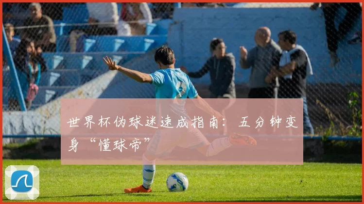 世界杯伪球迷速成指南：五分钟变身“懂球帝”