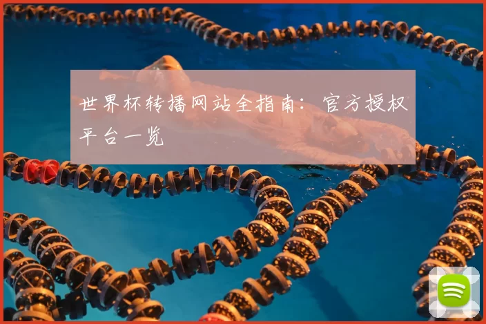 世界杯转播网站全指南:官方授权平台一览