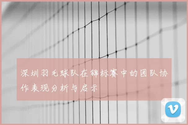深圳羽毛球队在锦标赛中的团队协作表现分析与启示