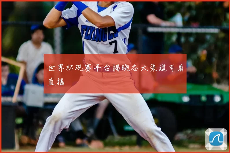 世界杯观赛平台揭晓各大渠道可看直播