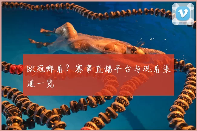 欧冠哪看?赛事直播平台与观看渠道一览