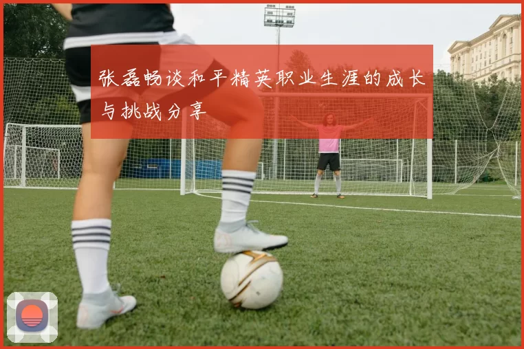 张磊畅谈和平精英职业生涯的成长与挑战分享