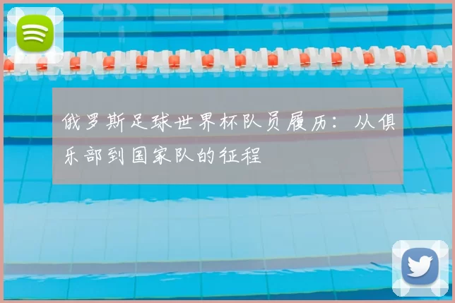 俄罗斯足球世界杯队员履历:从俱乐部到国家队的征程