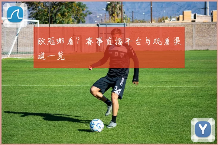 欧冠哪看?赛事直播平台与观看渠道一览