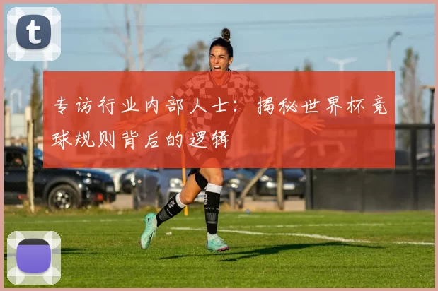 专访行业内部人士:揭秘世界杯竞球规则背后的逻辑