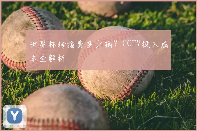 世界杯转播费多少钱？CCTV投入成本全解析