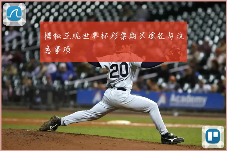 揭秘正规世界杯彩票购买途径与注意事项