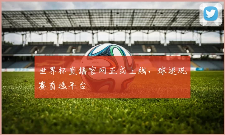 世界杯直播官网正式上线,球迷观赛首选平台