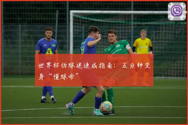 世界杯伪球迷速成指南：五分钟变身“懂球帝”