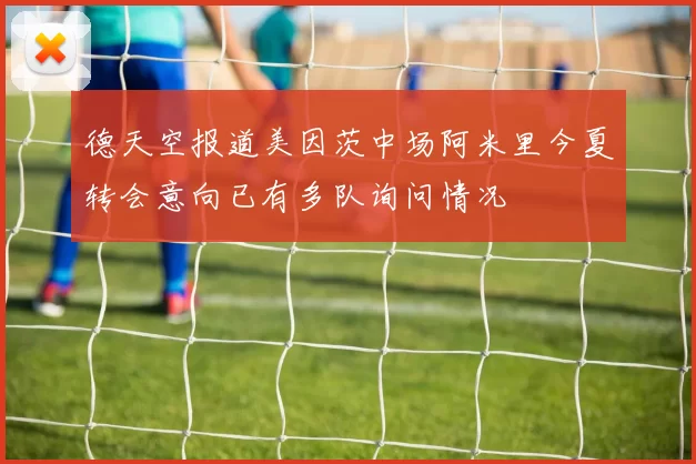 德天空报道美因茨中场阿米里今夏转会意向已有多队询问情况