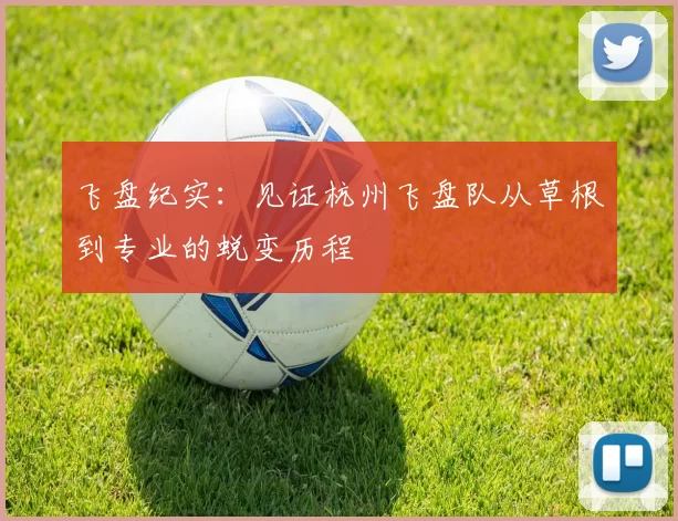 飞盘纪实：见证杭州飞盘队从草根到专业的蜕变历程