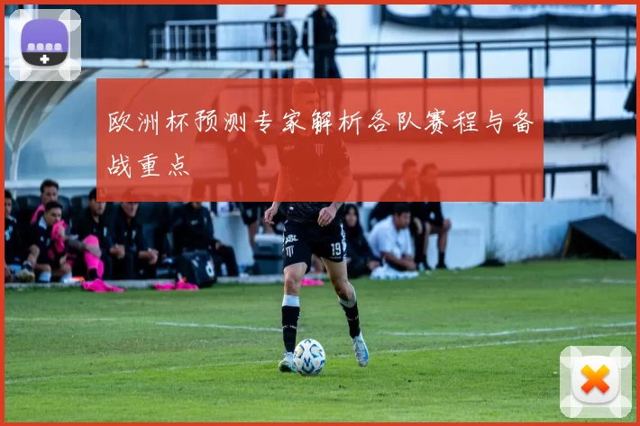 欧洲杯预测专家解析各队赛程与备战重点
