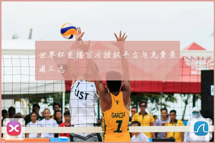 世界杯直播官方授权平台与免费渠道汇总