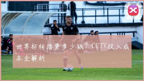 世界杯转播费多少钱?CCTV投入成本全解析