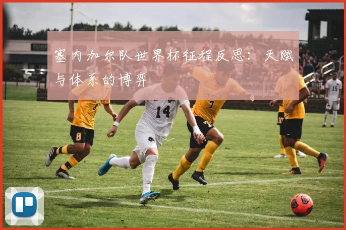塞内加尔队世界杯征程反思:天赋与体系的博弈